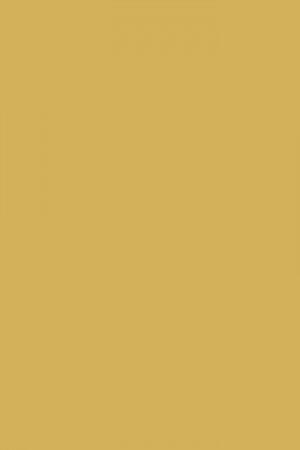 FARROW AND BALL SUDBURY YELLOW NO. 51 PAINT